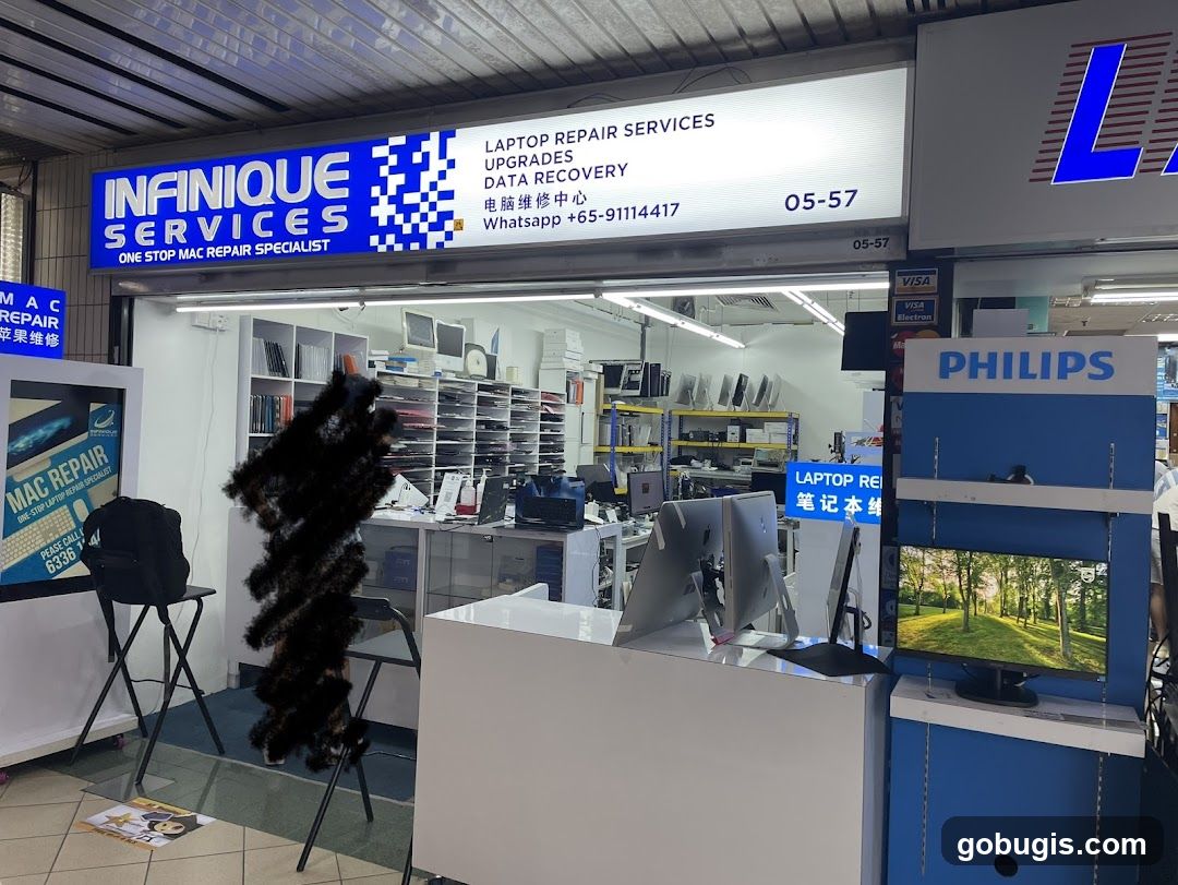 Infinique Services
