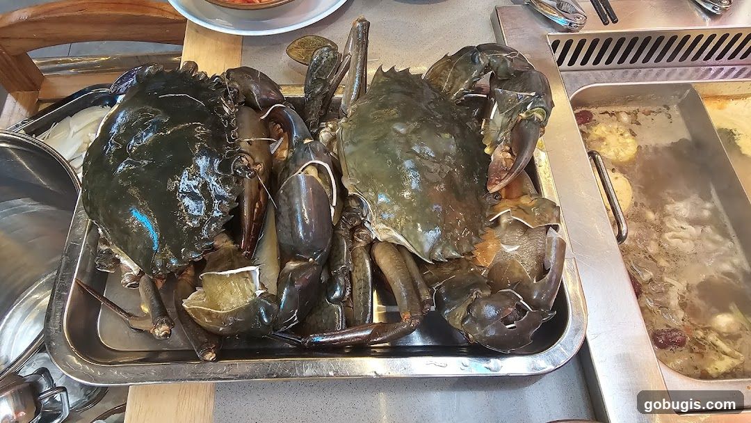 Crabs and Hot Pot