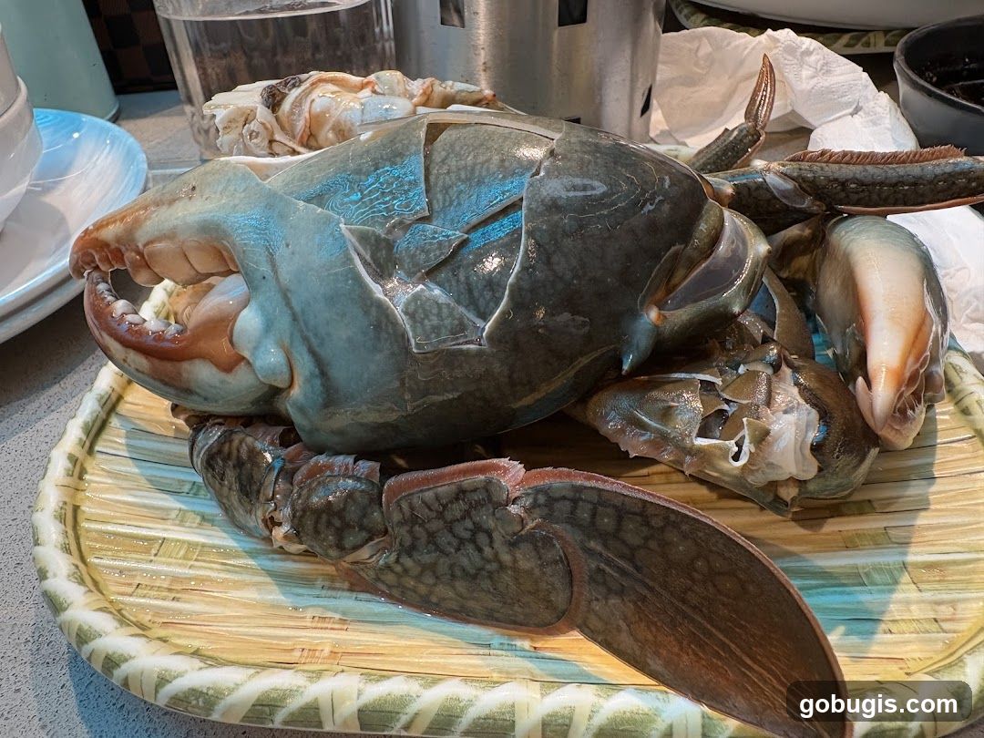 Raw Crab on a Platter