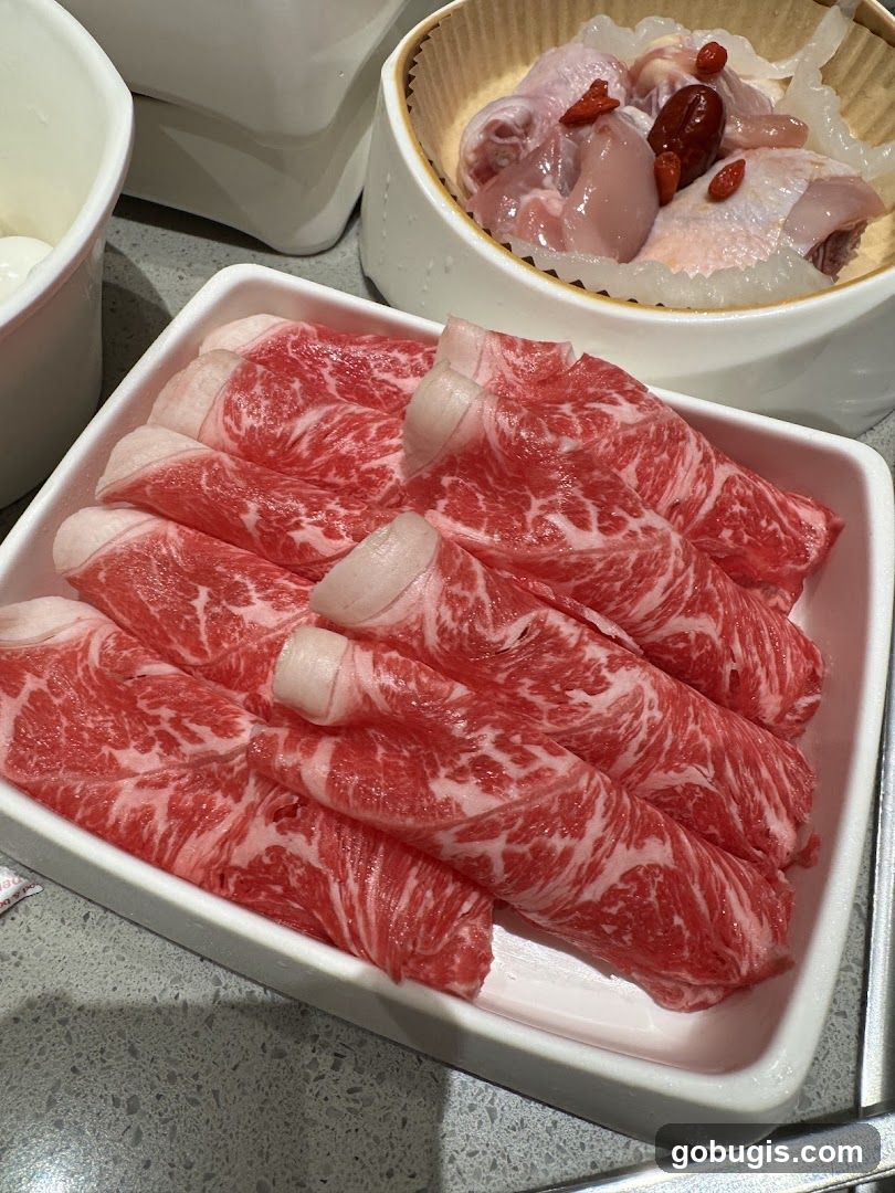 Thinly Sliced Beef and Chicken Dish