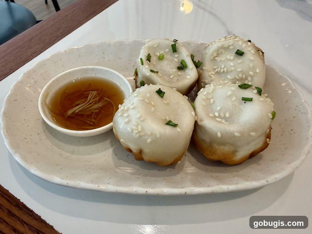 Pan-fried Soup Dumplings