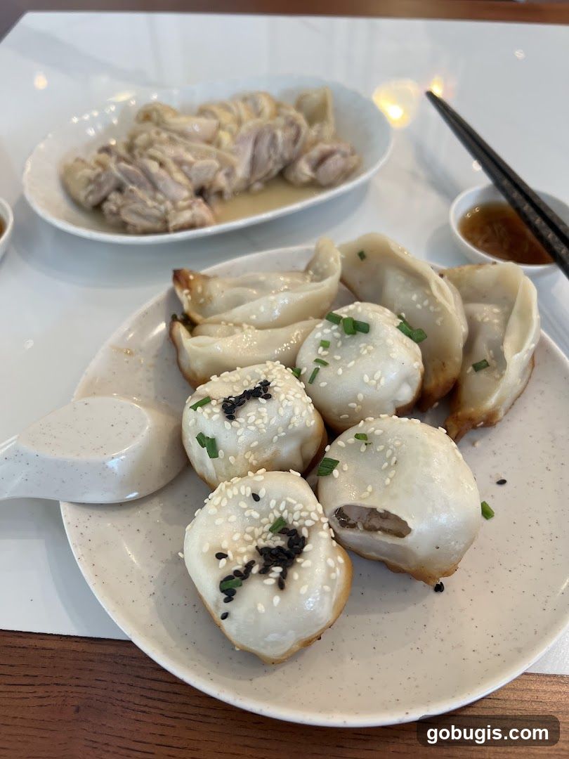 Pan-fried dumplings and soup dumplings