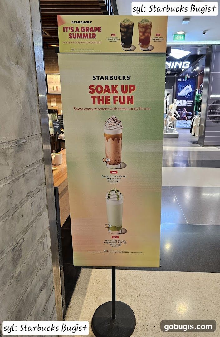 Starbucks Summer Drinks