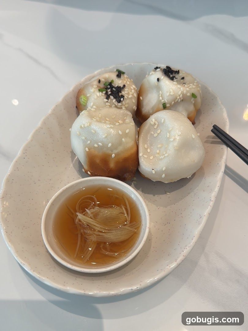 Pan-fried dumplings with dipping sauce
