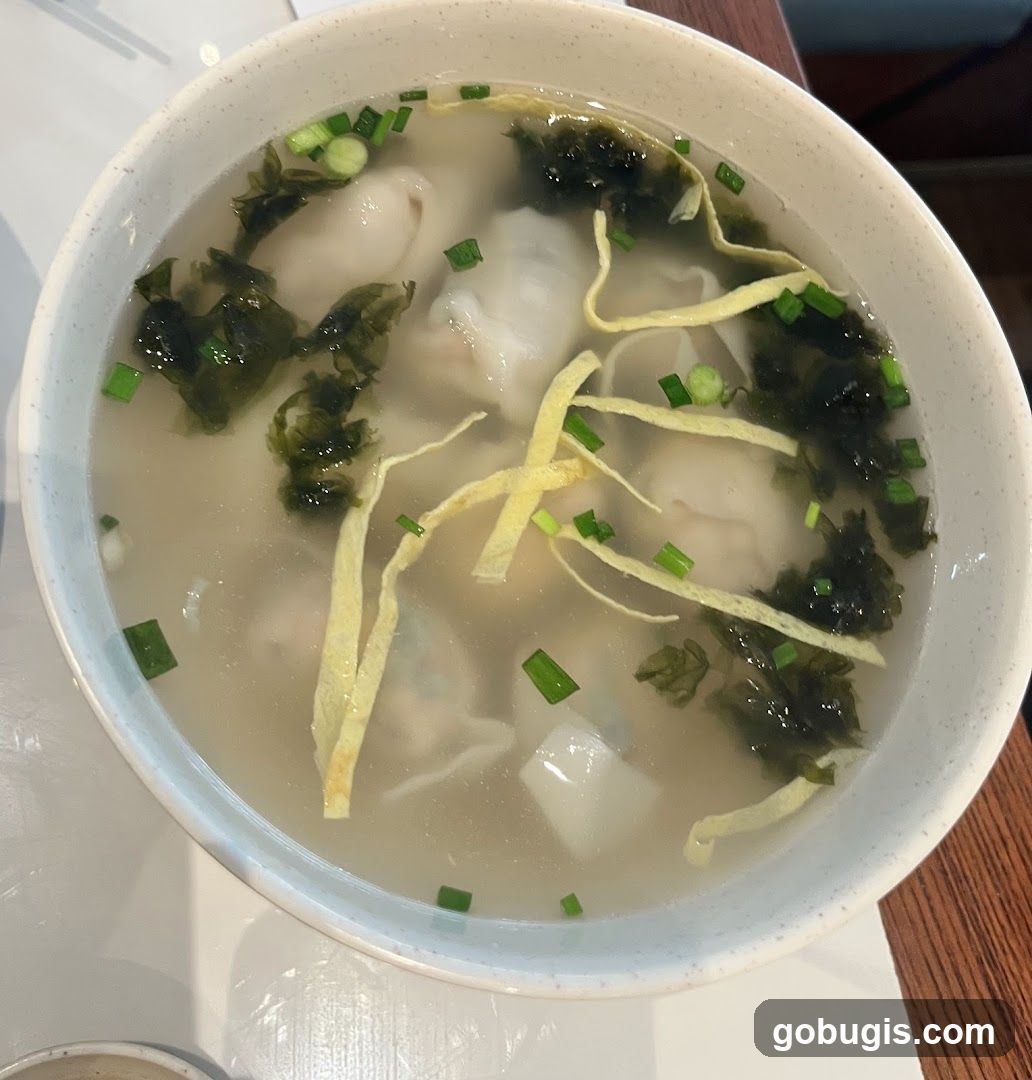 Dumpling Soup