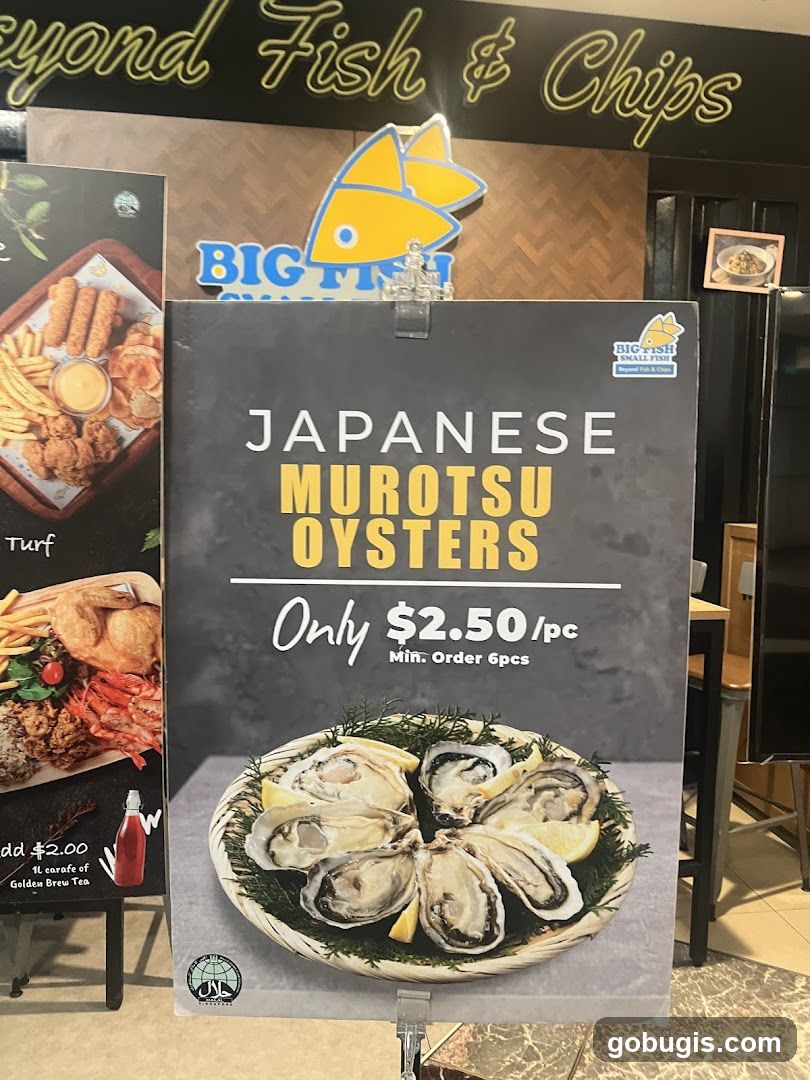 Japanese Murotsu Oysters Promotion