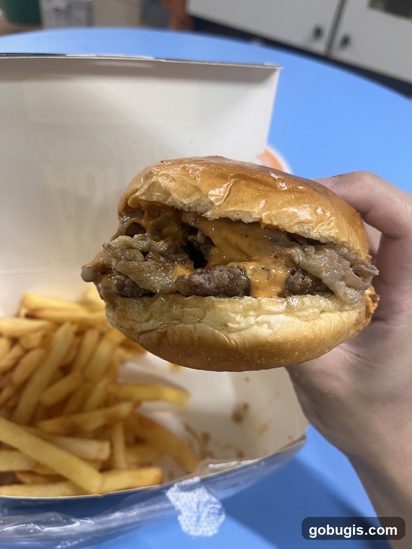 Burger and Fries