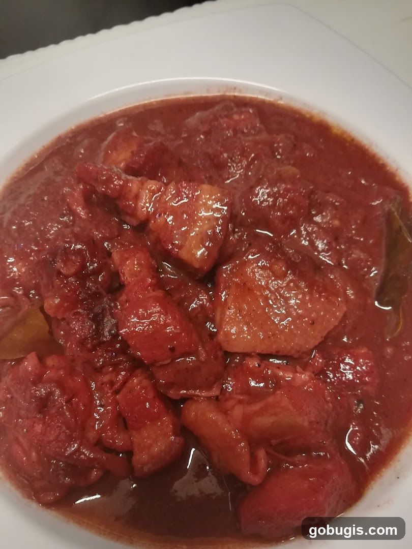 Stewed Meat Dish
