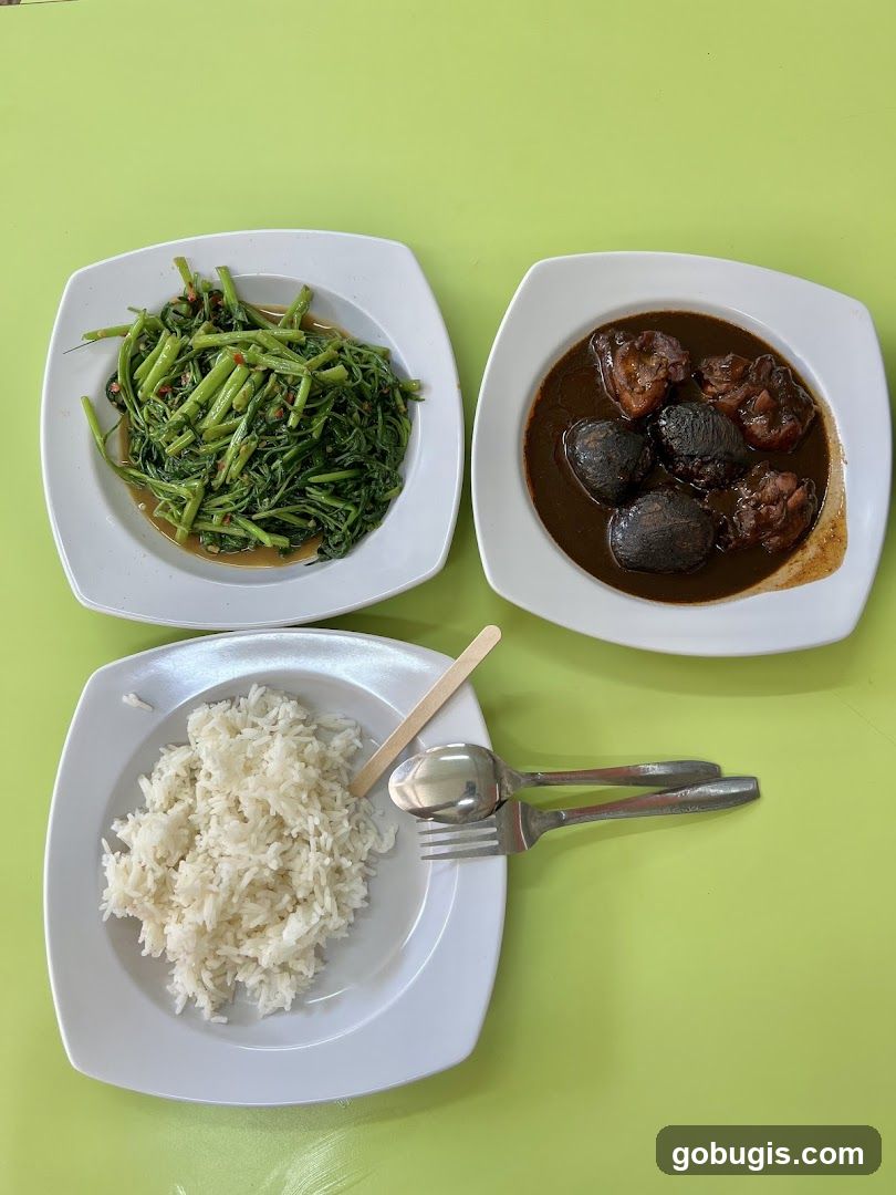 Meal with Rice, Stir-fried Vegetables, and Braised Meat
