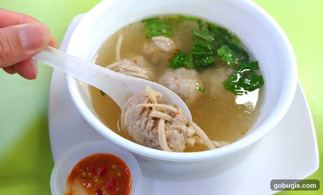 Meatball Soup