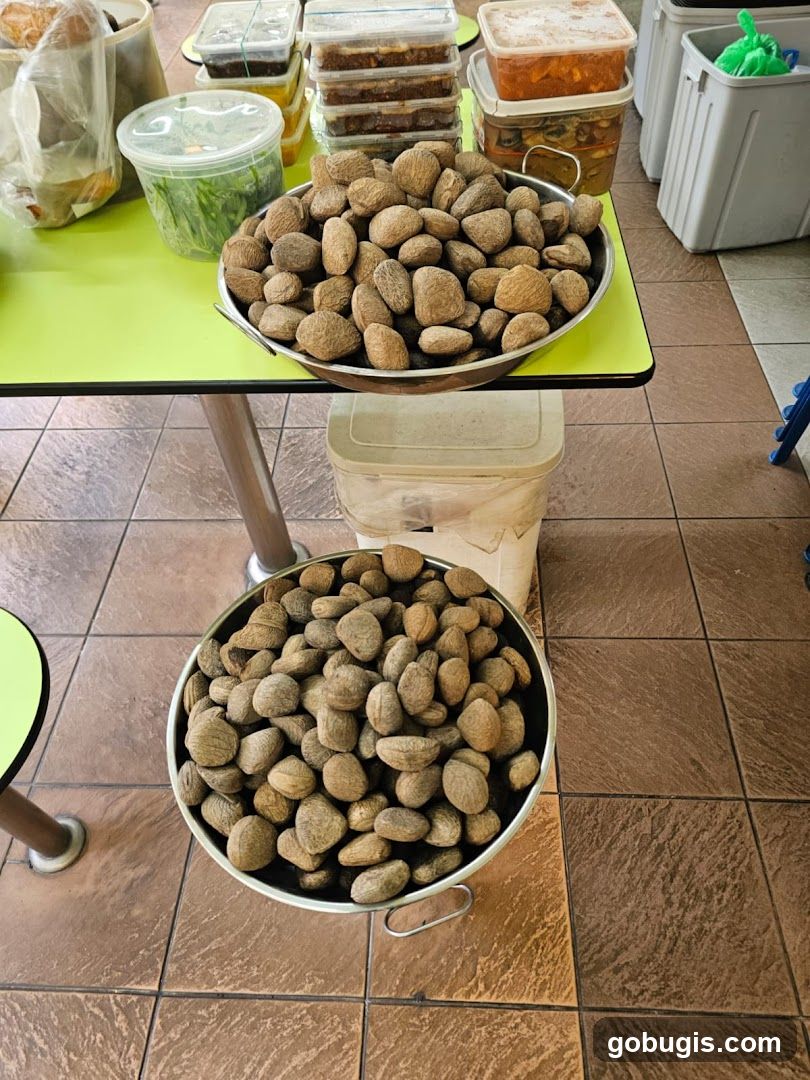 Nuts and Prepared Foods