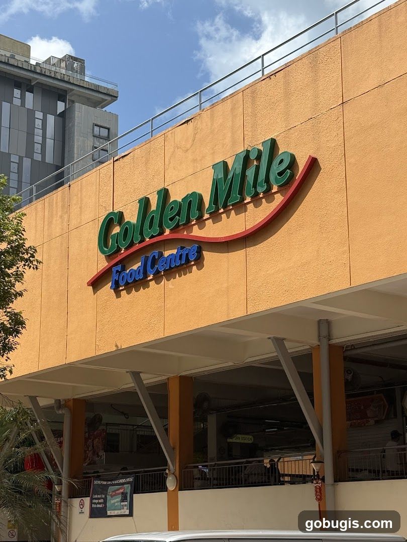 Da Po Hainanese Chicken Rice & Curry Chicken Noodle 大坡