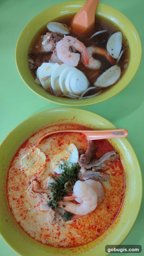 Two Bowls of Noodle Soup
