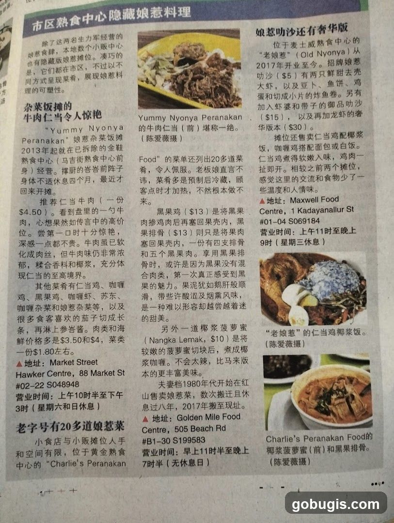 市区熟食中心隐藏娘惹料理