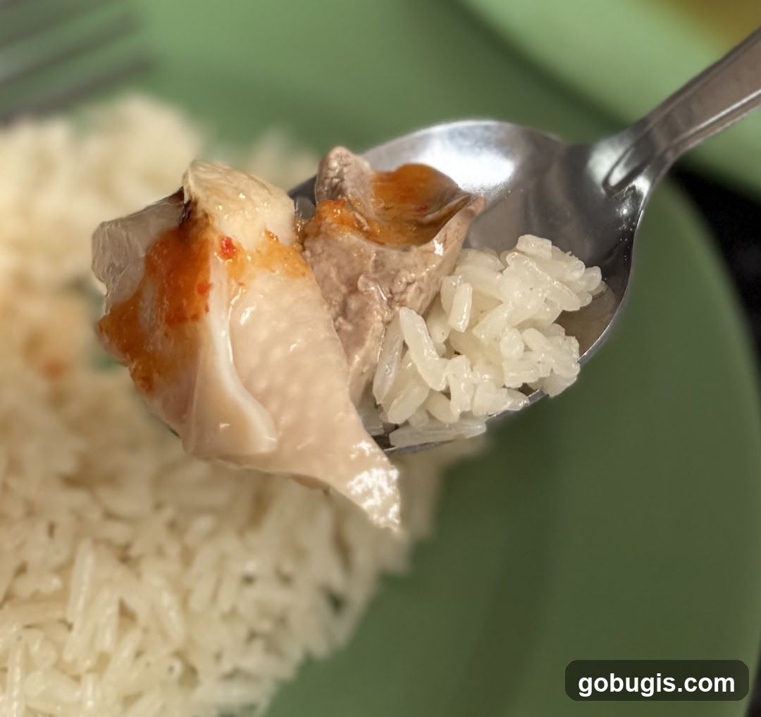 Chicken and Rice on a Spoon