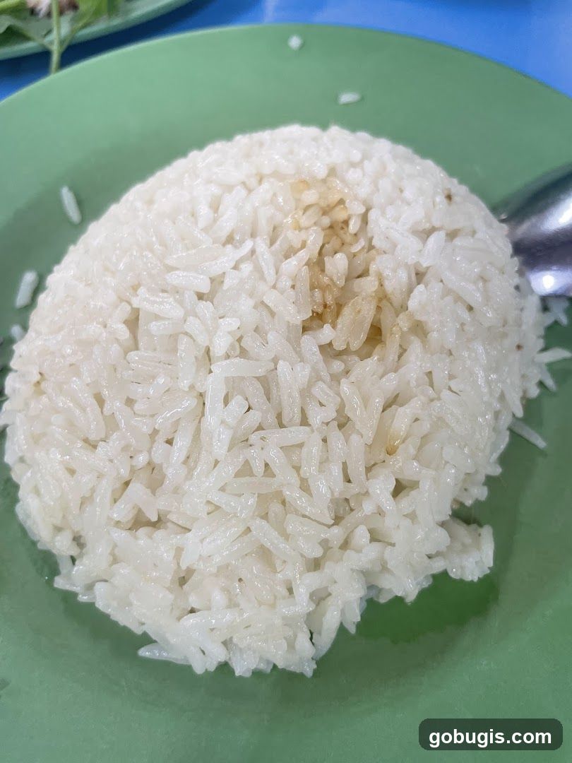 Steamed Rice
