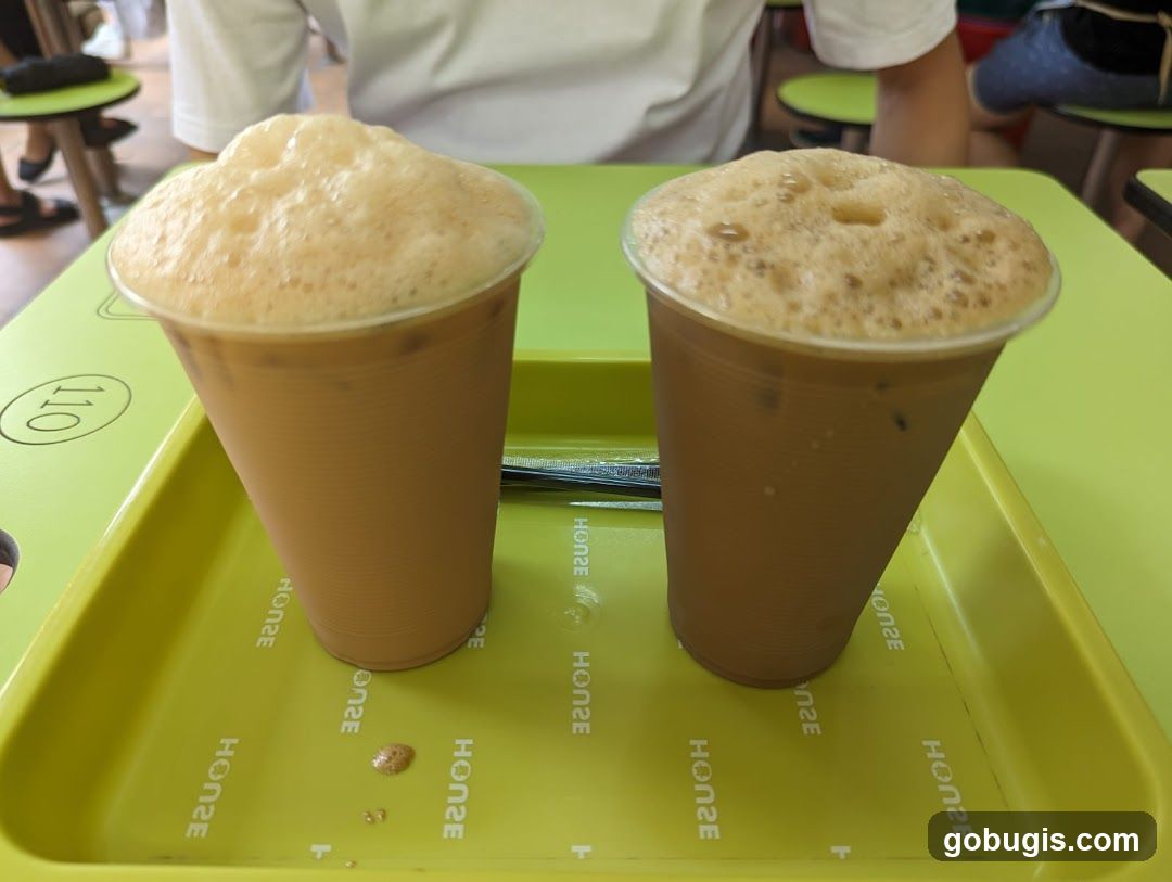 Two Iced Coffee Drinks