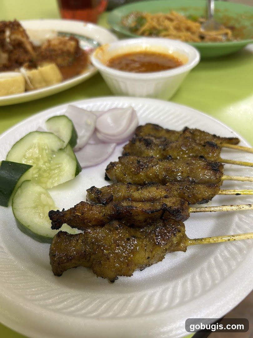 Chicken Satay with Cucumber and Onion