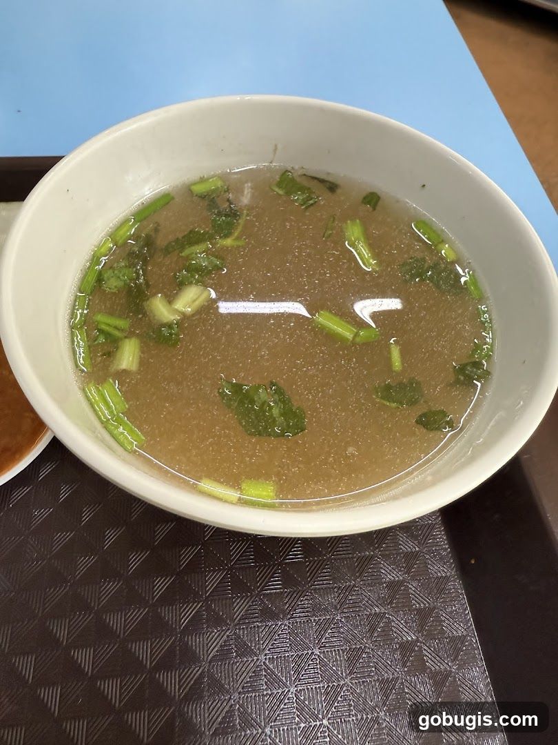 Bowl of Broth with Garnish
