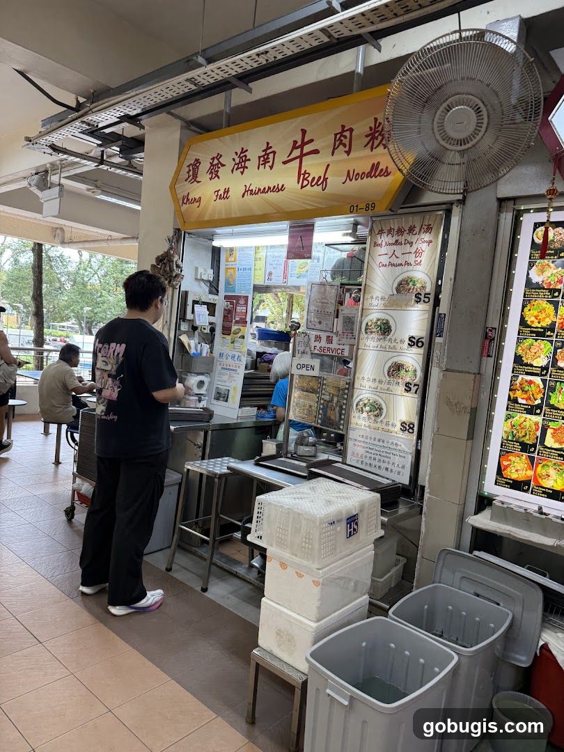 Kheng Fatt Hainanese Beef Noodles (#01-89)
