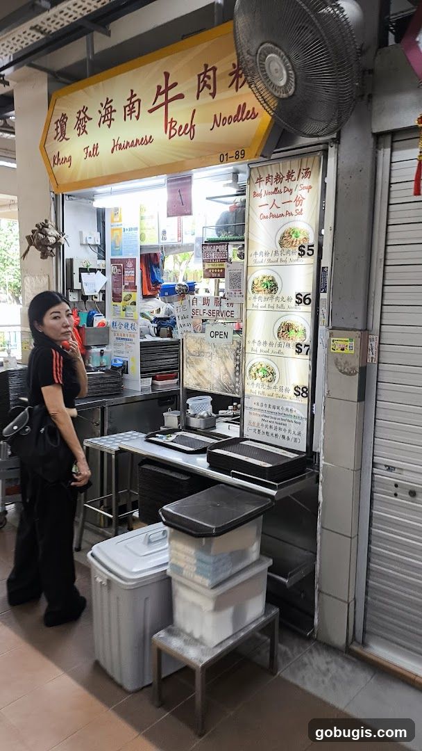 Kheng Fatt Hainanese Beef Noodles (#01-89)