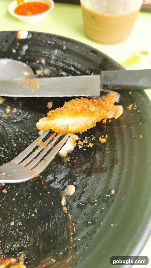 Fried Chicken Piece on Plate