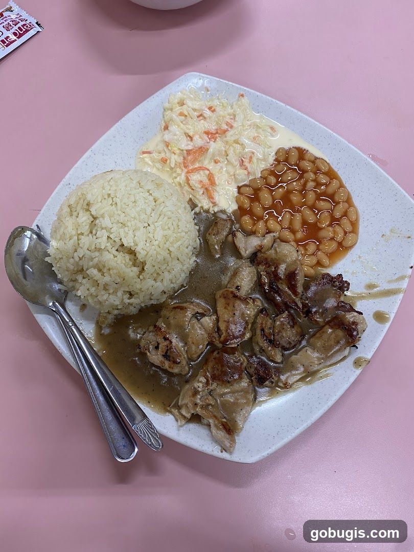 Chicken and Rice Plate