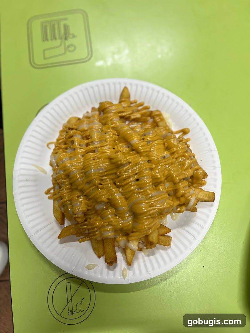 Cheese Fries
