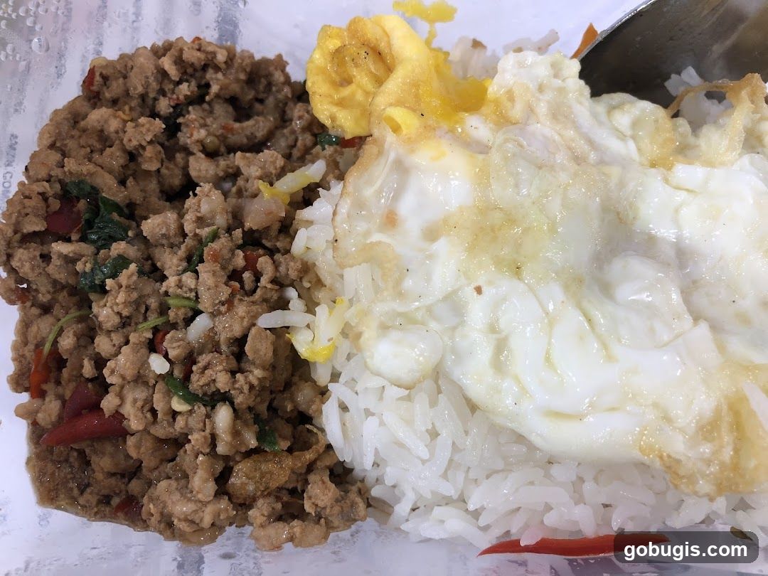 Minced Pork with Basil and Fried Egg over Rice
