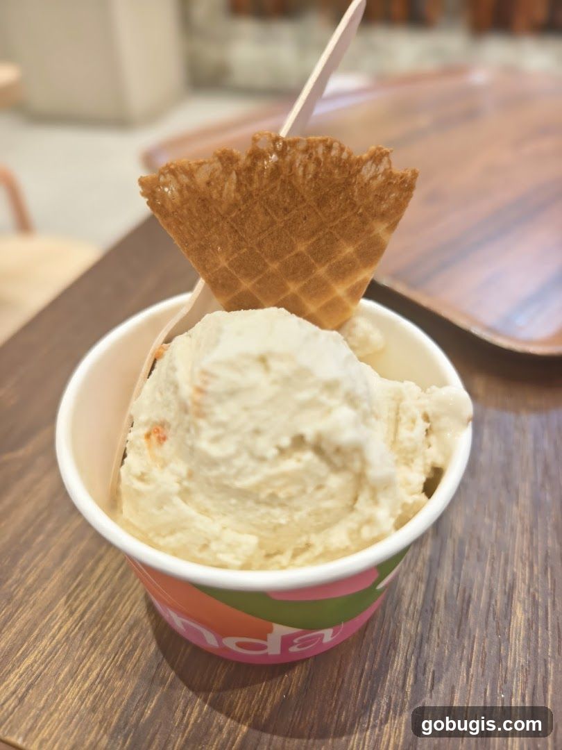 Ice Cream Cup with Waffle Cone