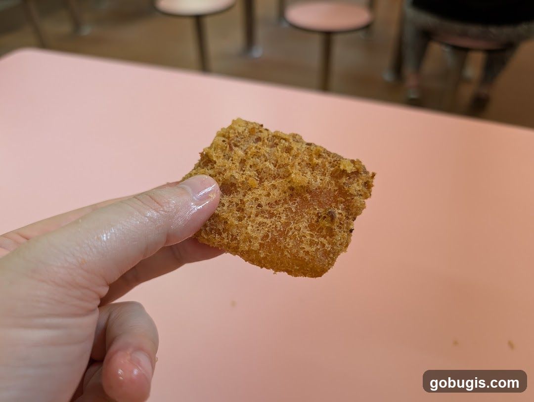 Fried Food Item