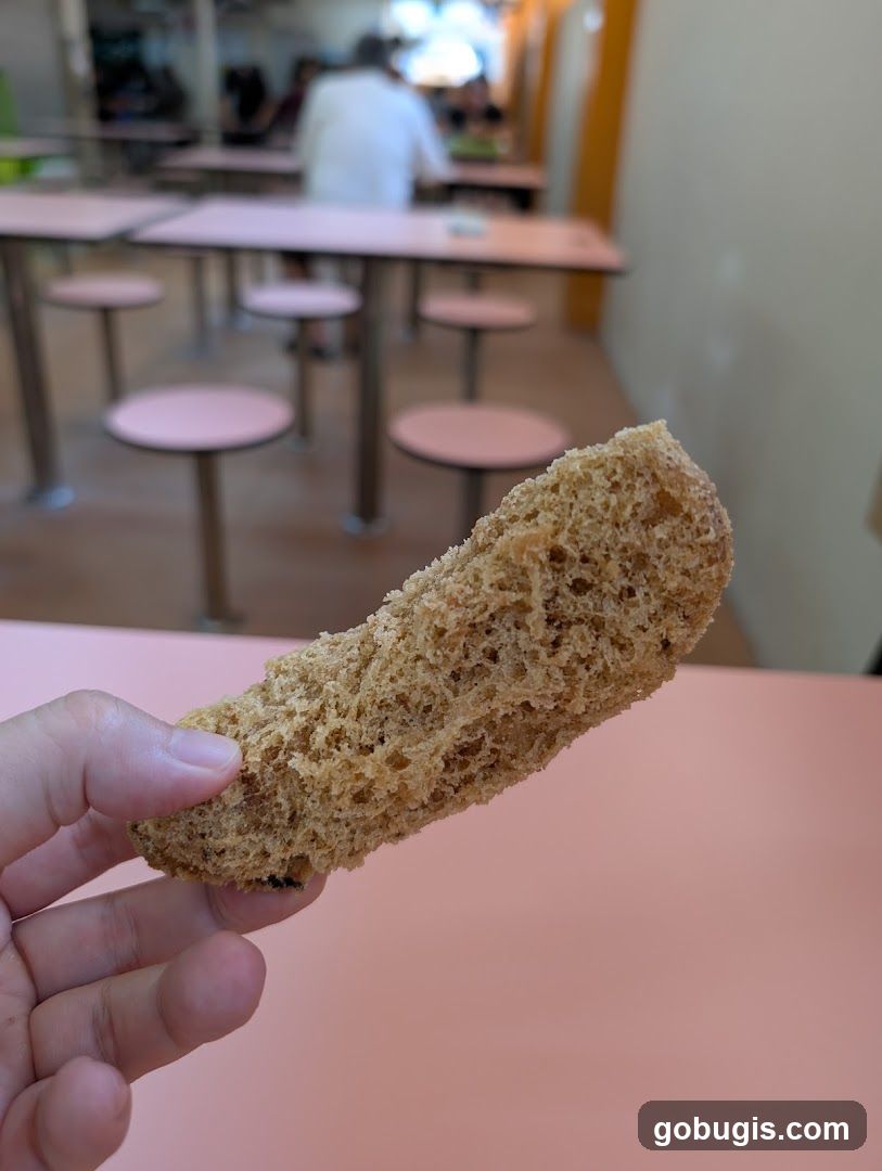 Fried Food Item