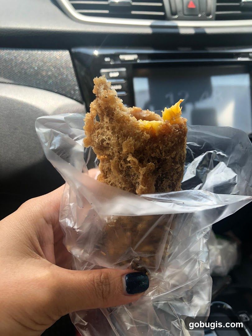 Fried Snack