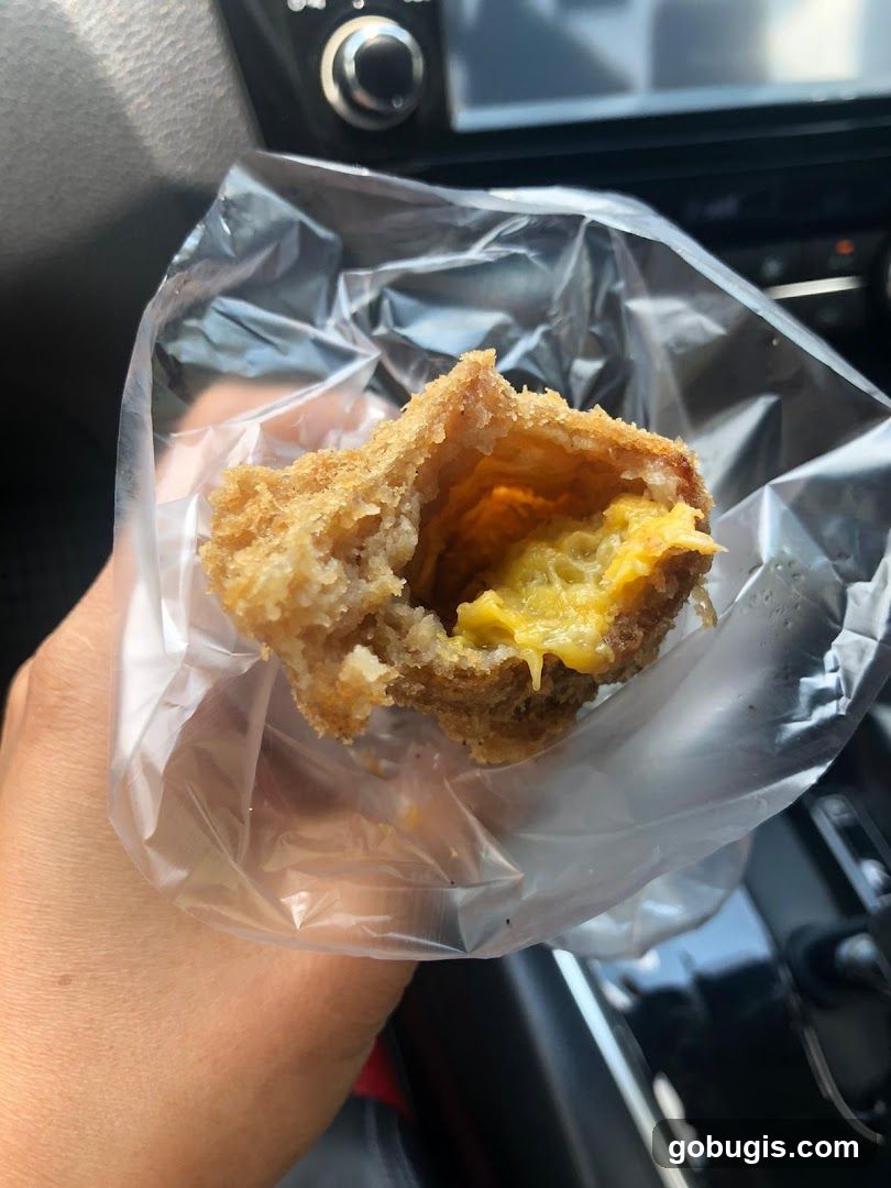 Fried Food Item