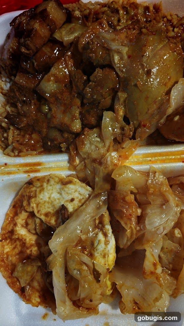 Braised Pork Belly and Chicken with Rice