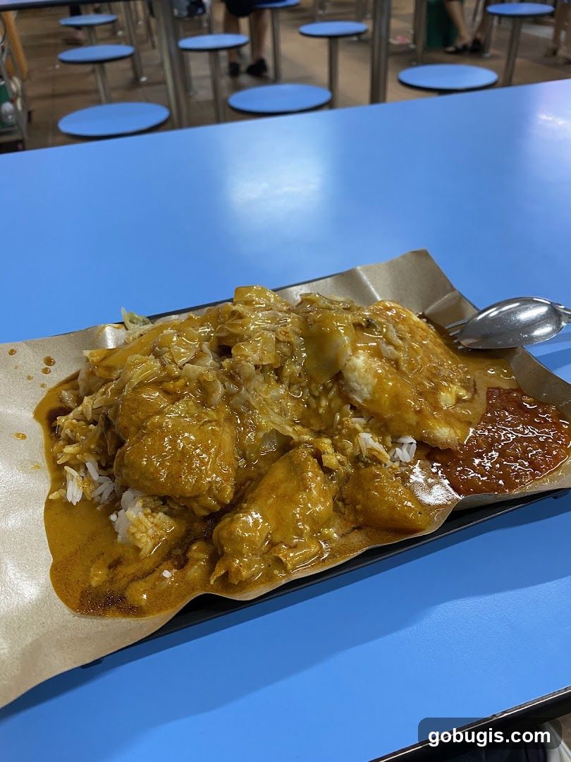Curry Chicken Rice