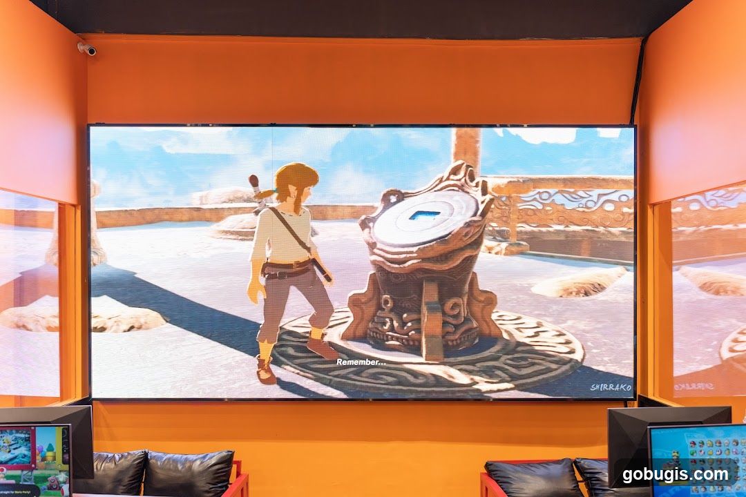 Video Game Display