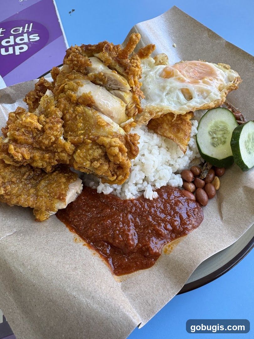 Nasi Lemak by brown