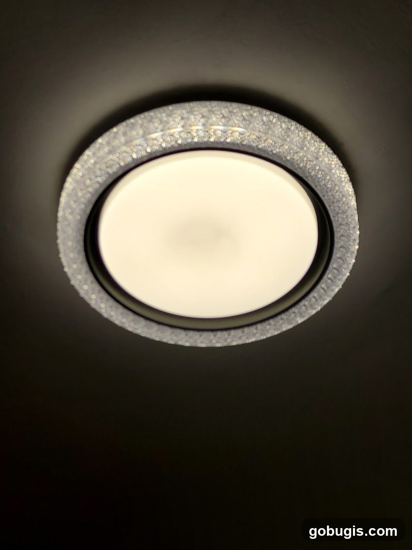 Ceiling Light Fixture