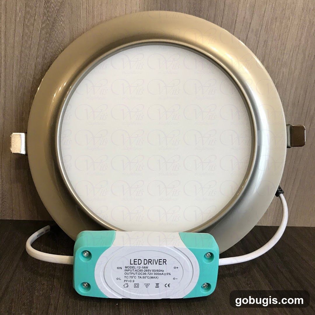 LED Driver and Light Fixture