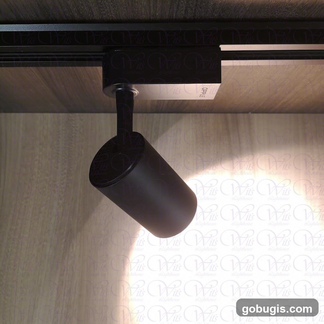 Black Track Light