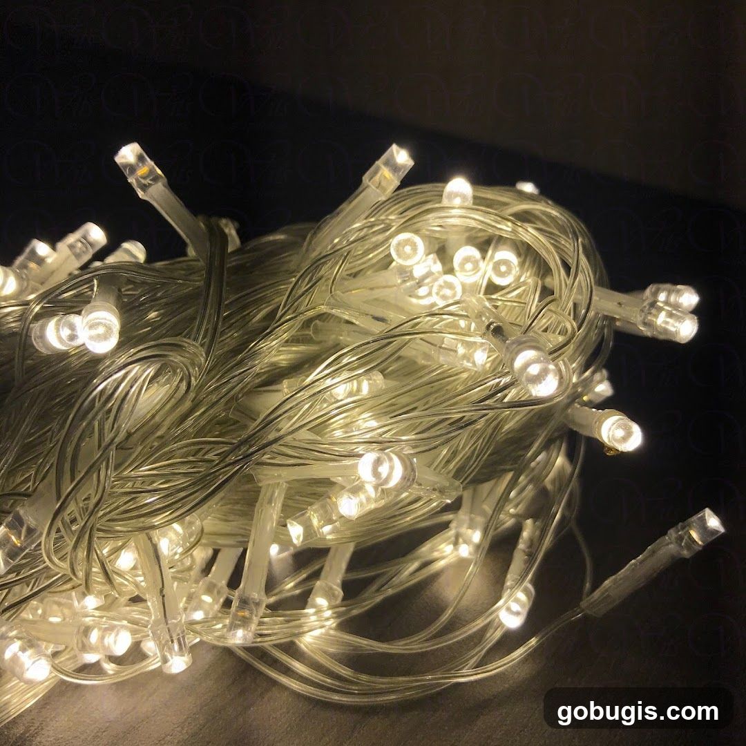 String Lights