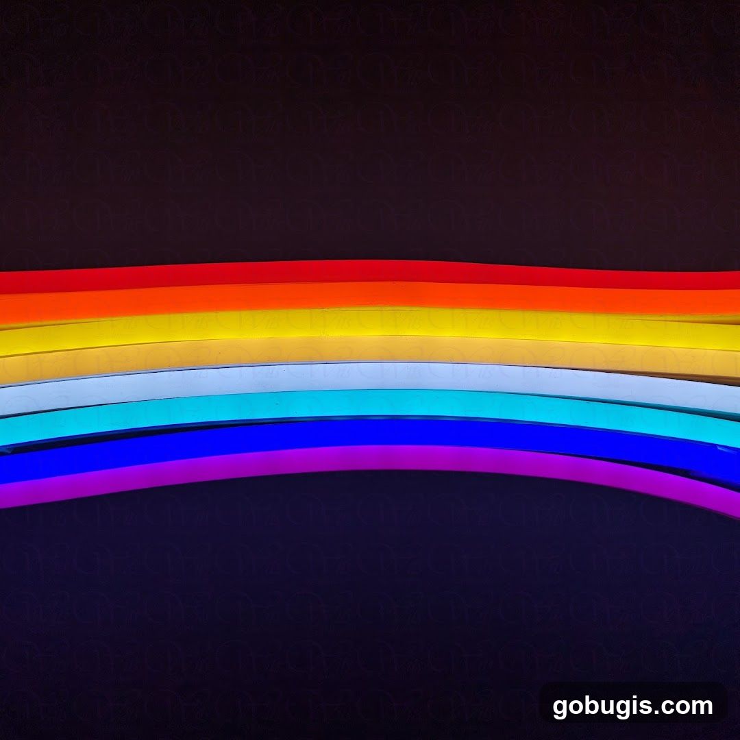 Rainbow Neon Lights