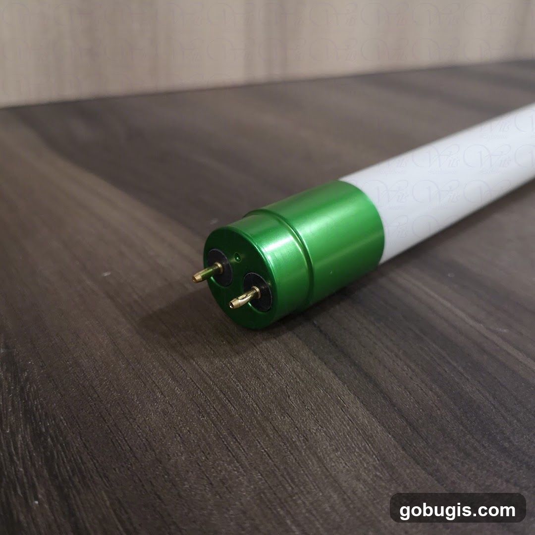 Fluorescent Light Tube