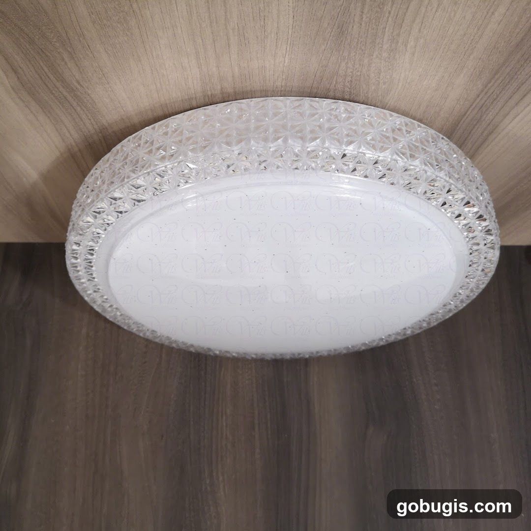 Ceiling Light