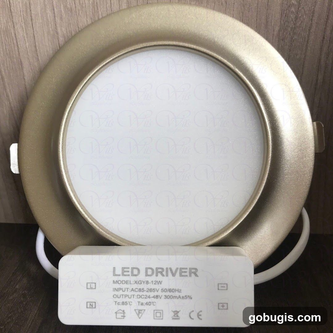 LED Driver and Light Panel