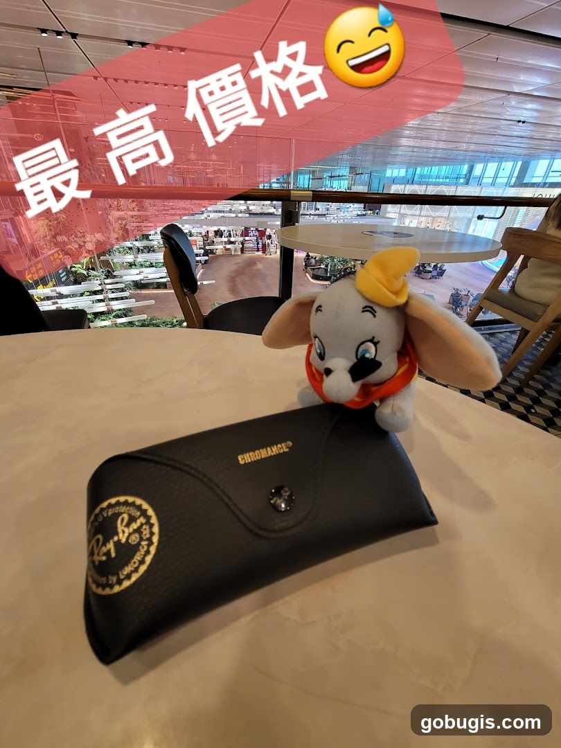 Dumbo toy and Ray-Ban case on table