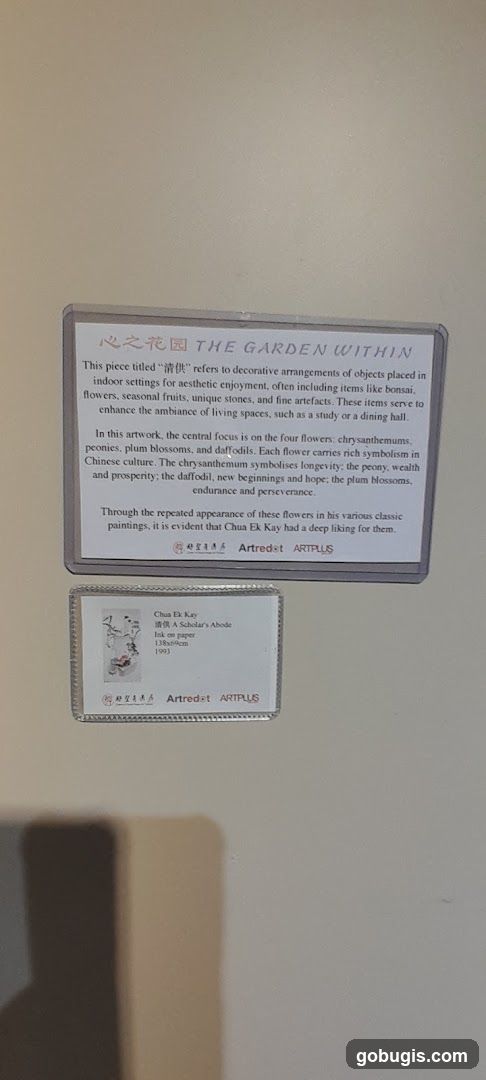 Art Exhibition Information