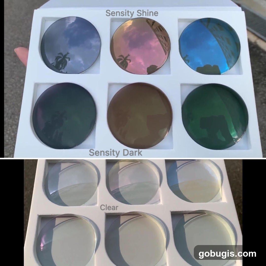 Lens Samples