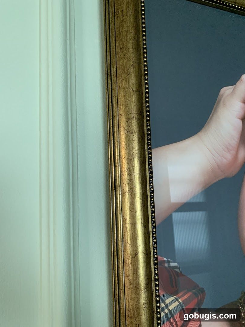 Framed Portrait